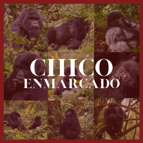 Cuadro Chico(35x28cm) Enmarcado