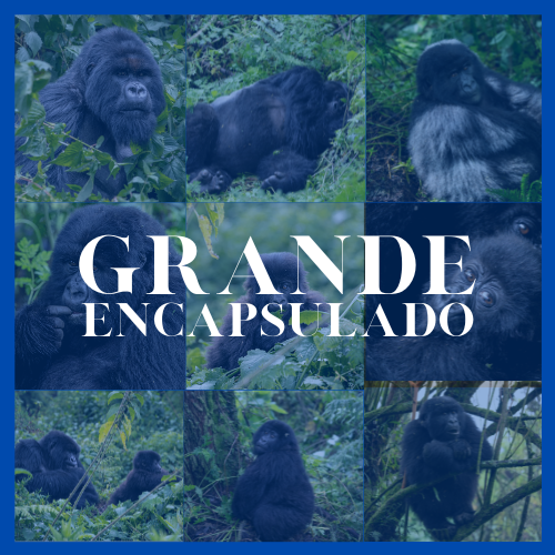 Cuadro Grande(100x66cm) Encapsulado