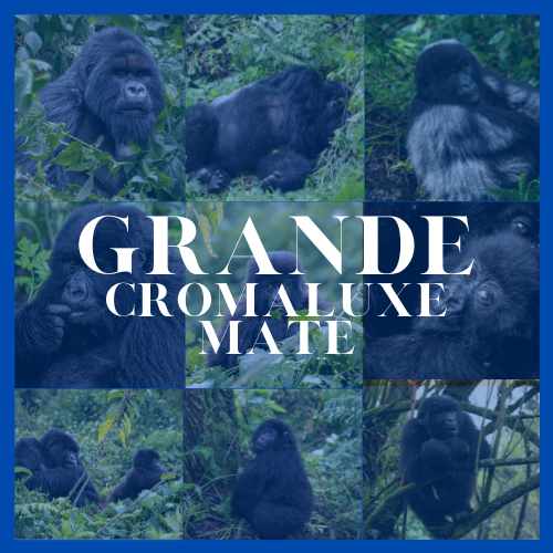 Cuadro Grande(100x66cm) Cromaluxe Mate